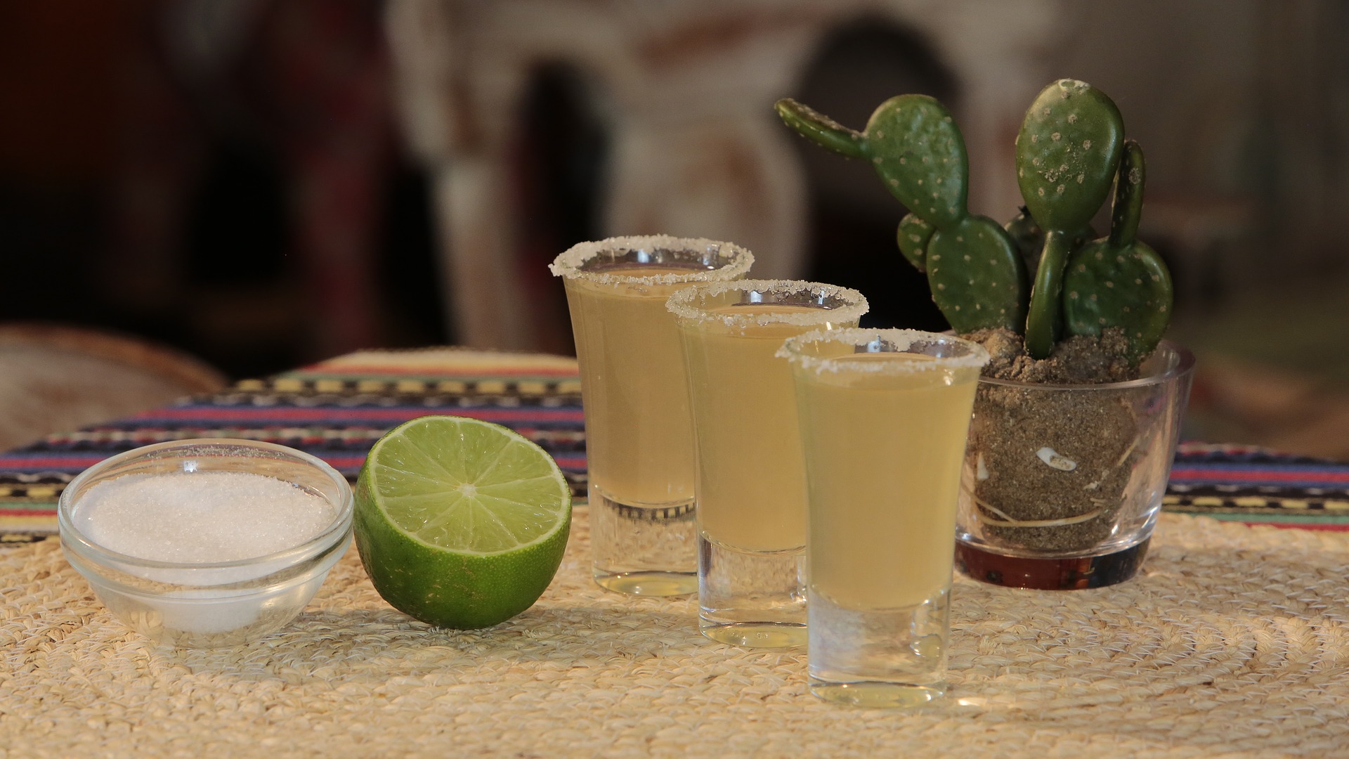 Tequila: aprenda o ritual para beber